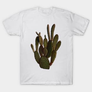 Opuntia Microdasys- Cacti, Cactus, Plant, Nature T-Shirt